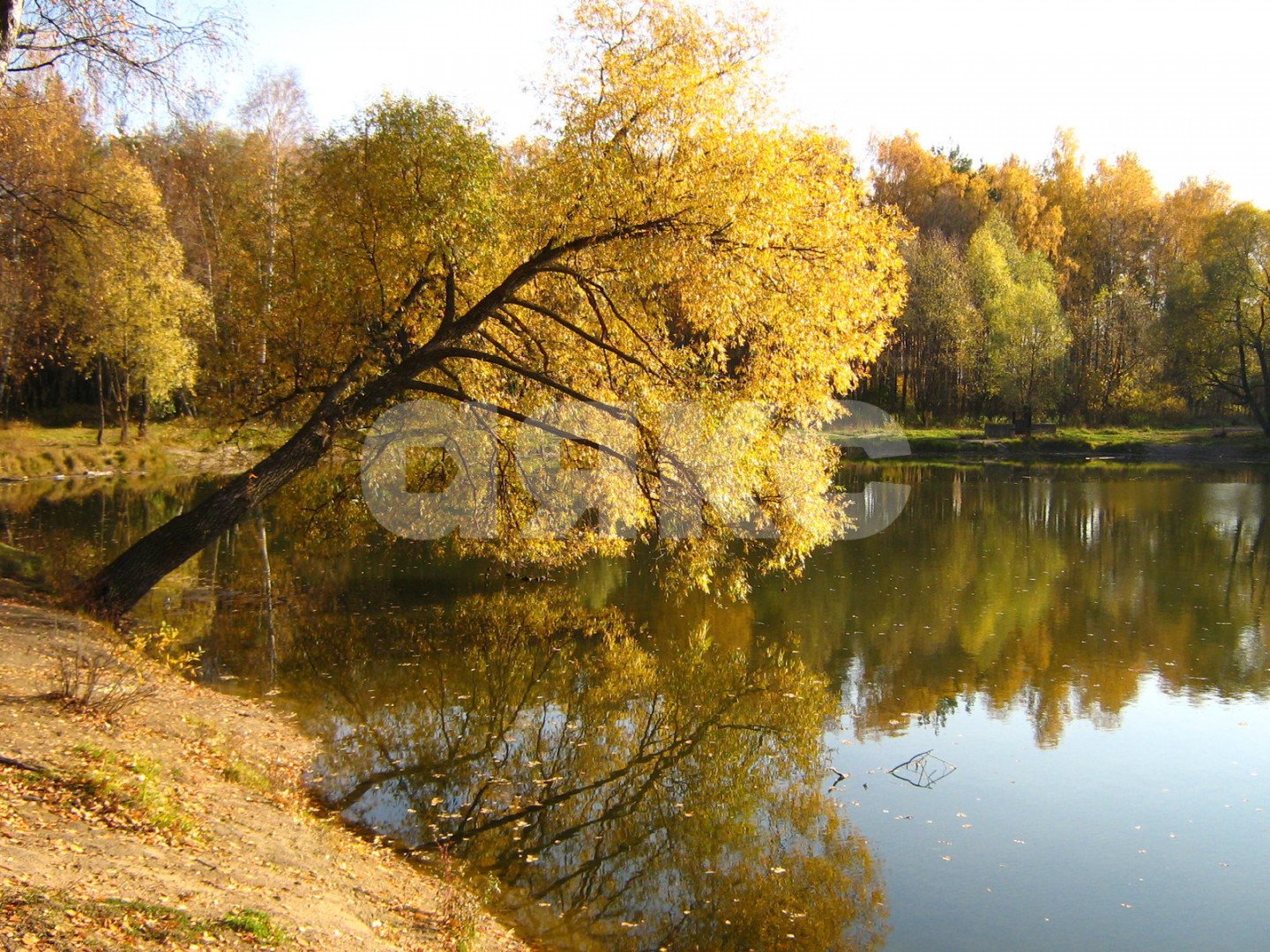 Фото №9: 2-комнатная квартира 44 м² - Раменское, 1-й квартал, ул. Коммунистическая, 12