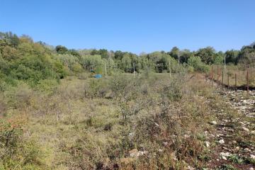 Фото №3: Коммерция 15 м² - Краснодарский край Апшеронский район