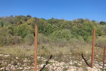 Фото №2: Коммерция 15 м² - Краснодарский край Апшеронский район