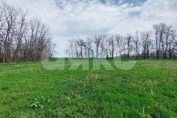Фото №1: Личное подсобное хозяйство - Передовая, пер. Бригадный
