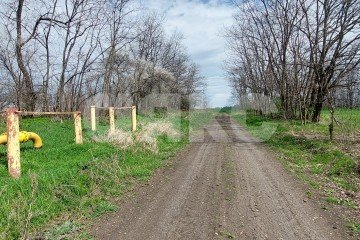Фото №3: Личное подсобное хозяйство - Передовая, пер. Бригадный