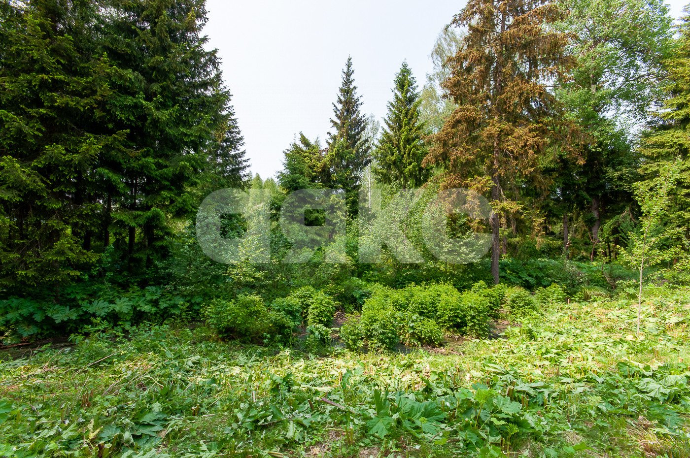 Фото №8: Земельный участок под ИЖС 1553 сот. - Овсянниково, 