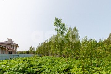 Фото №3: Земельный участок под ИЖС - Овсянниково, 
