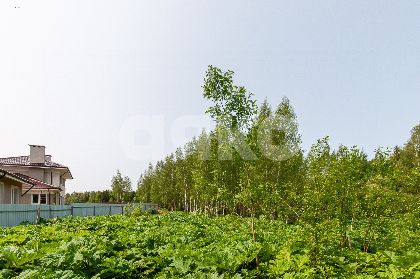 Фото №3: Земельный участок под ИЖС 1553 сот. - Овсянниково, 