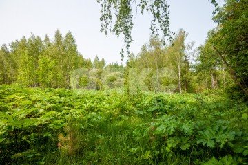 Фото №1: Земельный участок под ИЖС - Овсянниково, 