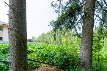 Фото №4: Земельный участок под ИЖС - Овсянниково, 