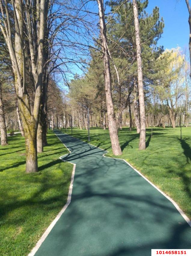 Фото №11: Студия 24 м² - Берёзовый, жилой комплекс Прогресс, Прикубанский внутригородской округ, п. Прогресс, ул. имени Туполева А.Н., 4