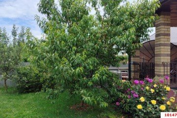 Фото №3: Дом 125 м² - Марьянская, ул. Михаила Дремлюга