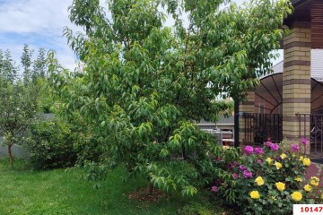 Фото №3: Дом 125 м² - Марьянская, ул. Михаила Дремлюга