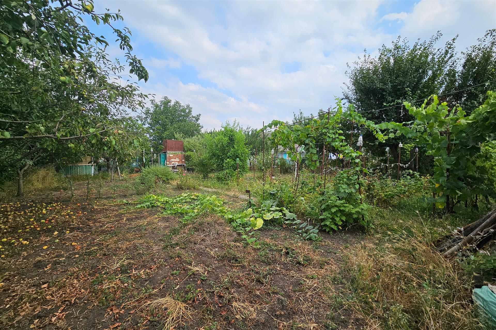 Фото №9: Дача 20 м² + 6 сот. - Сад Кубани, мкр. Прикубанский внутригородской округ, ул. Вишнёвая