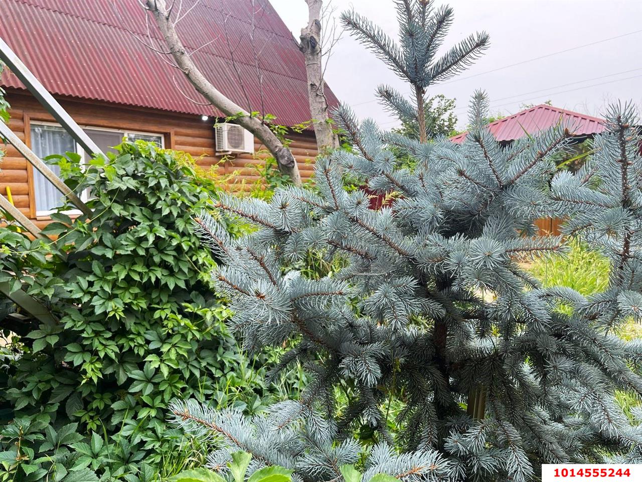 Фото №19: Дом 106 м² + 4 сот. - Железнодорожник-3, мкр. Карасунский внутригородской округ, ул. Сливовая, 809