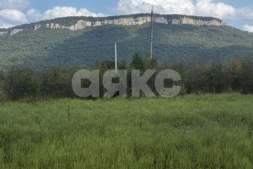 Фото №3: Личное подсобное хозяйство - Даховская, 