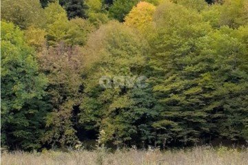 Фото №4: Личное подсобное хозяйство - Даховская, 