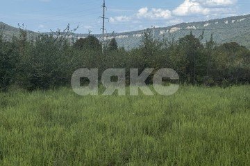 Фото №2: Личное подсобное хозяйство - Даховская, 