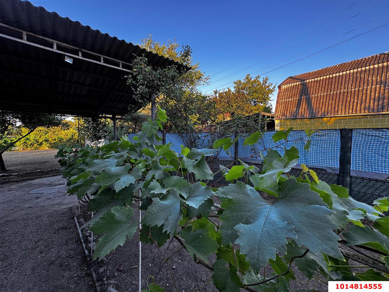 Фото №7: Дом 28 м² + 6 сот. - Берег Кубани ВНИИ риса, Прикубанский внутригородской округ, ул. Виноградная