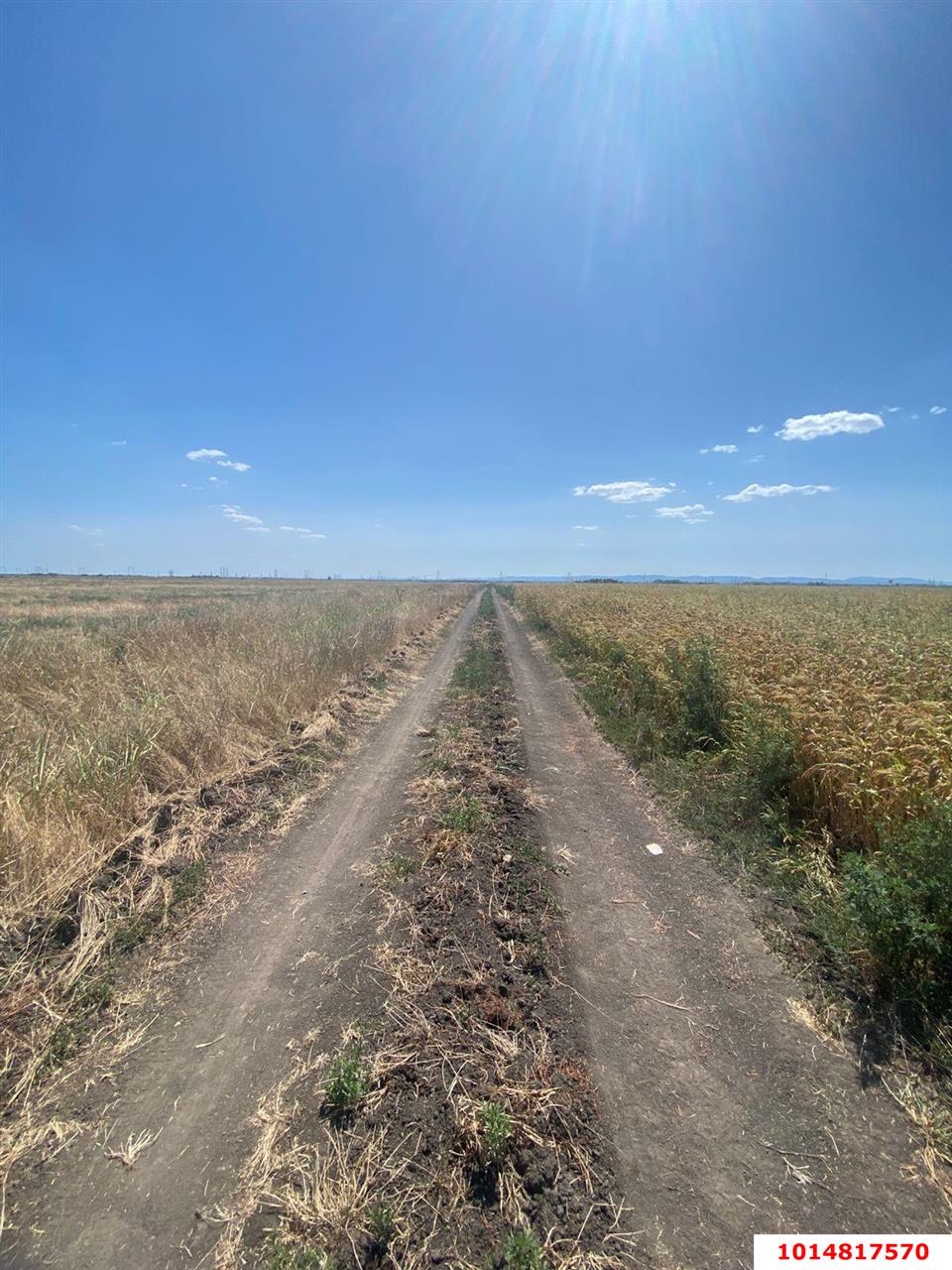 Фото №5: Коммерческая земля 2000 сот. - Республика Адыгея (Адыгея) Тахтамукайский район