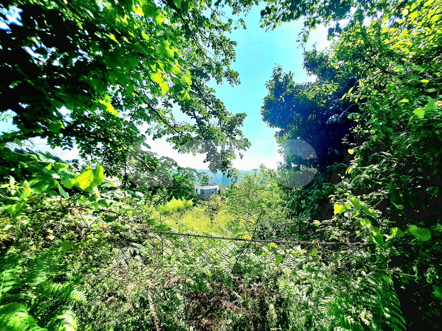 Фото №3: Личное подсобное хозяйство 29 сот. - Высокое, Адлерский, ул. Некрасова