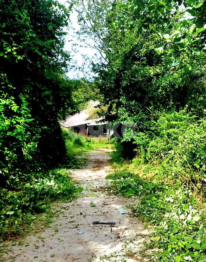 Фото №1: Личное подсобное хозяйство 29 сот. - Высокое, Адлерский, ул. Некрасова