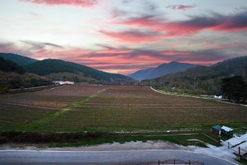 Фото №3: Апартаменты 49 м² - Прасковеевка, мкр. Тонкий Мыс, пр-д Парусный, 1