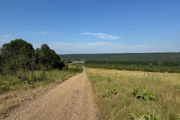 Фото №5: Земельный участок 10000 сот. - Краснооктябрьский, мкр. Западный внутригородской округ, ул. Курджипская, 40