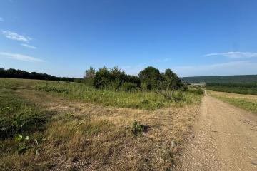 Фото №1: Земельный участок 10000 сот. - Краснооктябрьский, мкр. Западный внутригородской округ, ул. Курджипская, 40