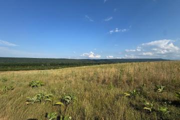 Фото №4: Земельный участок 10000 сот. - Краснооктябрьский, мкр. Западный внутригородской округ, ул. Курджипская, 40