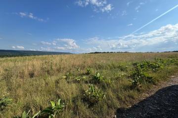 Фото №3: Земельный участок 10000 сот. - Краснооктябрьский, мкр. Западный внутригородской округ, ул. Курджипская, 40