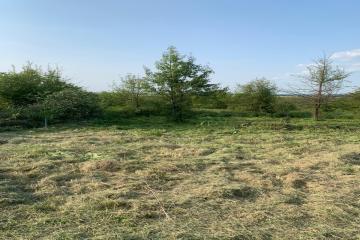 Фото №3: Земельный участок 5.5 сот. - Ильский, мкр. территория Промышленная, 