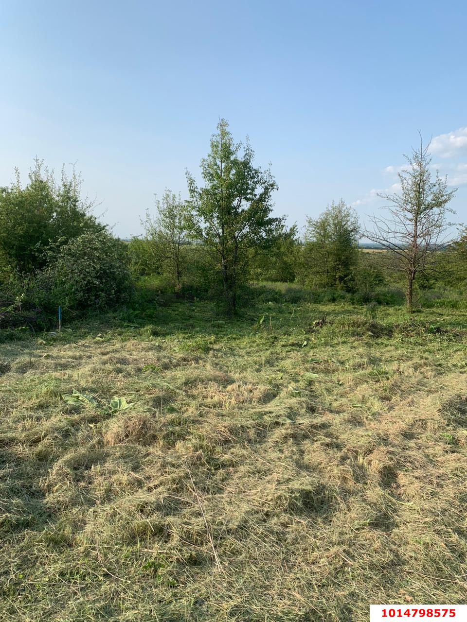 Фото №3: Земельный участок под ИЖС 5.5 сот. - Ильский, территория Промышленная