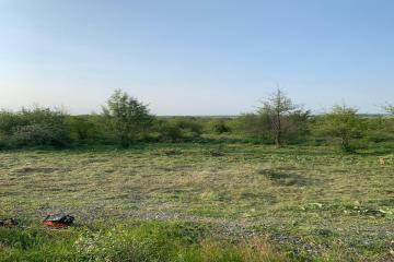 Фото №4: Земельный участок 5.5 сот. - Ильский, мкр. территория Промышленная, 