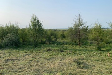 Фото №4: Земельный участок под ИЖС 5.5 сот. - Ильский, мкр. территория Промышленная, 