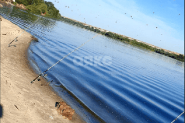 Фото №2: Участок садоводство - СНТ Залив, 