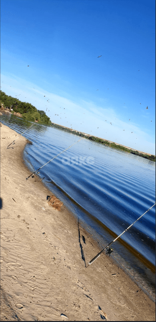 Фото №2: Участок садоводство 6.3 сот. - СНТ Залив