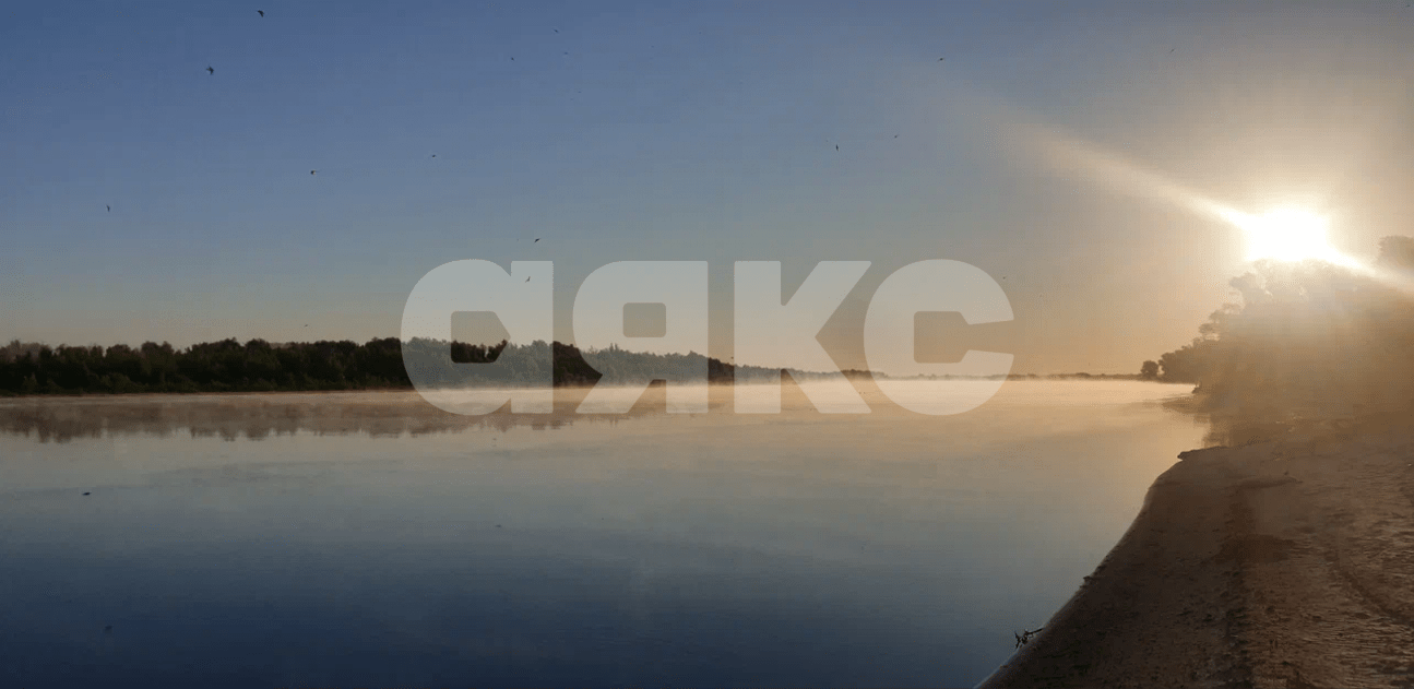 Фото №4: Участок садоводство 6.3 сот. - СНТ Залив