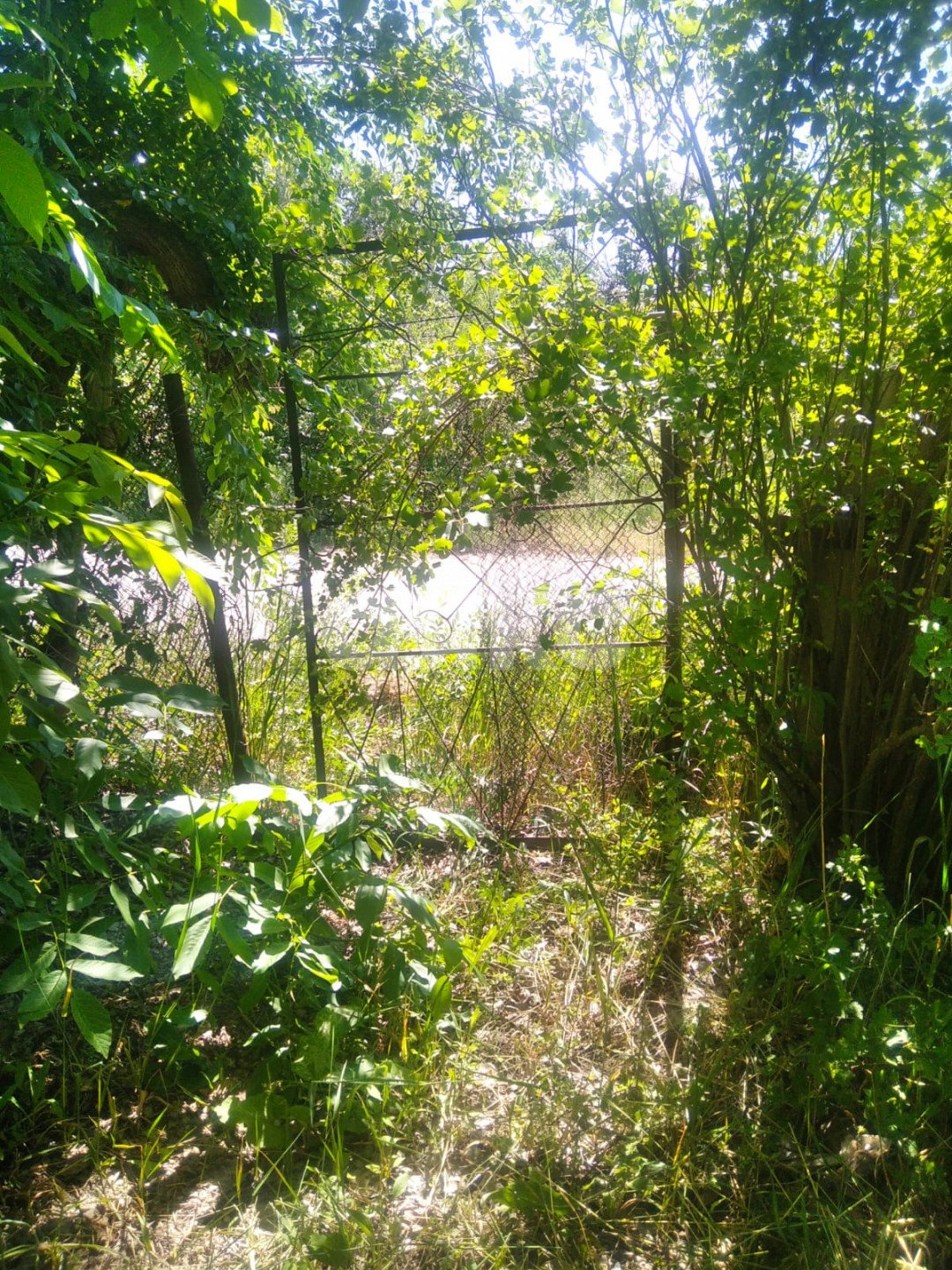 Фото №13: Дача 40 м² + 6 сот. - СНТ Строитель, массив 1, ул. 1-я Продольная