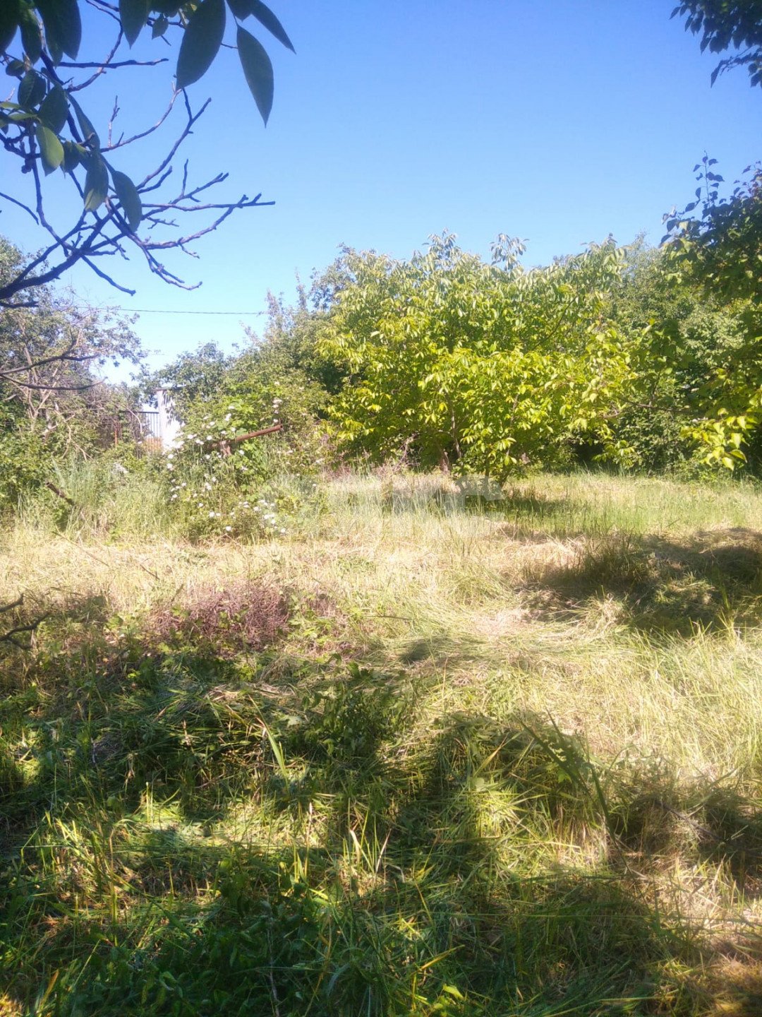 Фото №9: Дача 40 м² + 6 сот. - СНТ Строитель, массив 1, ул. 1-я Продольная