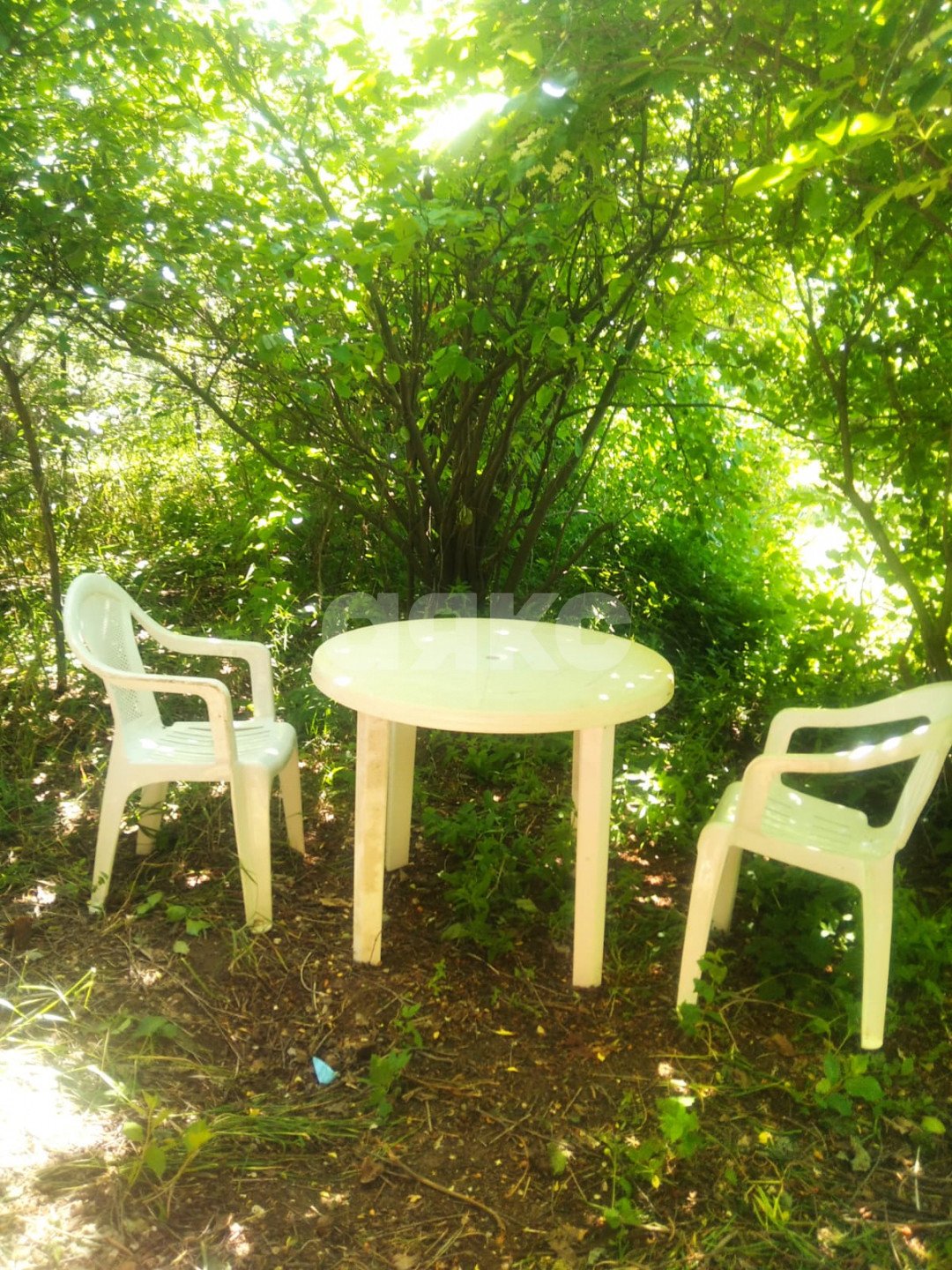 Фото №6: Дача 40 м² + 6 сот. - СНТ Строитель, массив 1, ул. 1-я Продольная