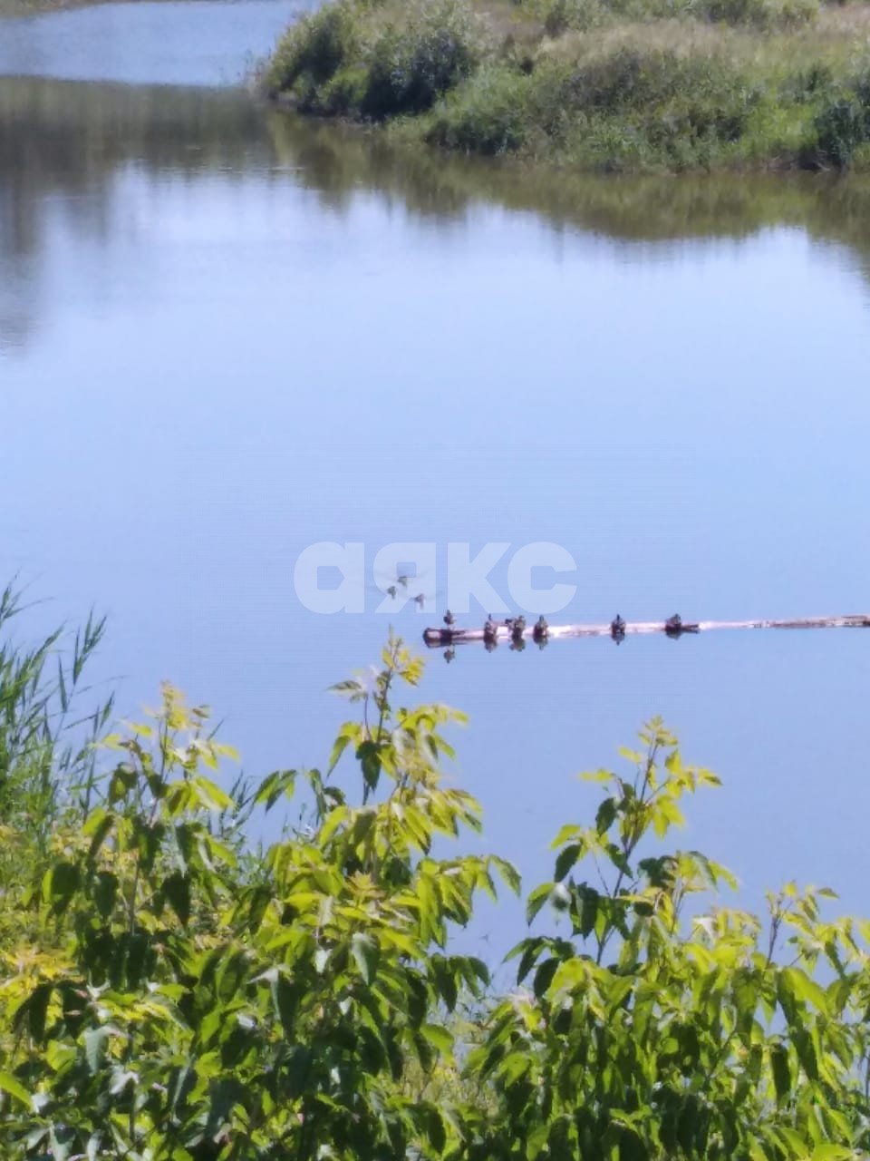 Фото №16: Дача 40 м² + 6 сот. - СНТ Строитель, массив 1, ул. 1-я Продольная