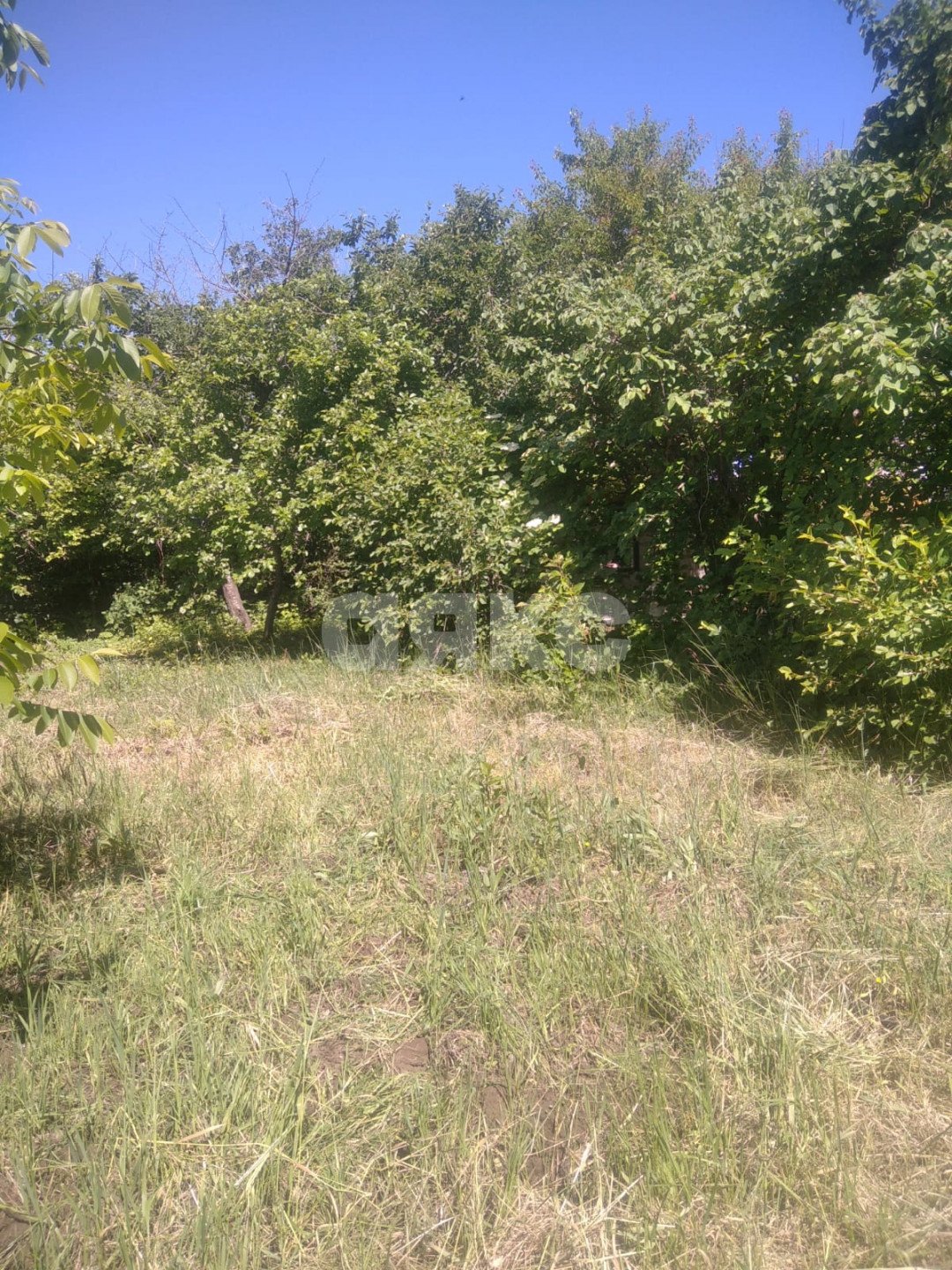 Фото №10: Дача 40 м² + 6 сот. - СНТ Строитель, массив 1, ул. 1-я Продольная