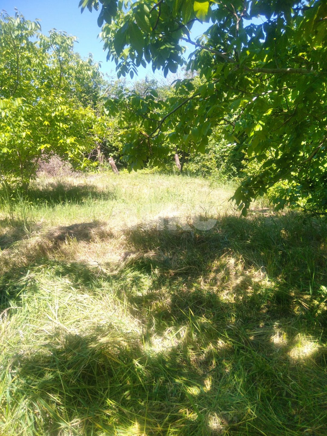 Фото №7: Дача 40 м² + 6 сот. - СНТ Строитель, массив 1, ул. 1-я Продольная