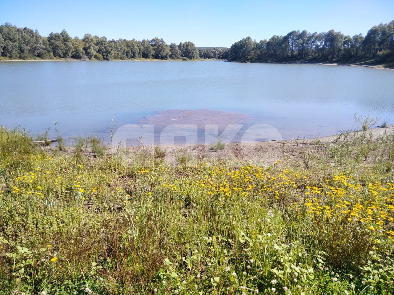 Фото №17: Дача 40 м² + 6 сот. - СНТ Строитель, массив 1, ул. 1-я Продольная