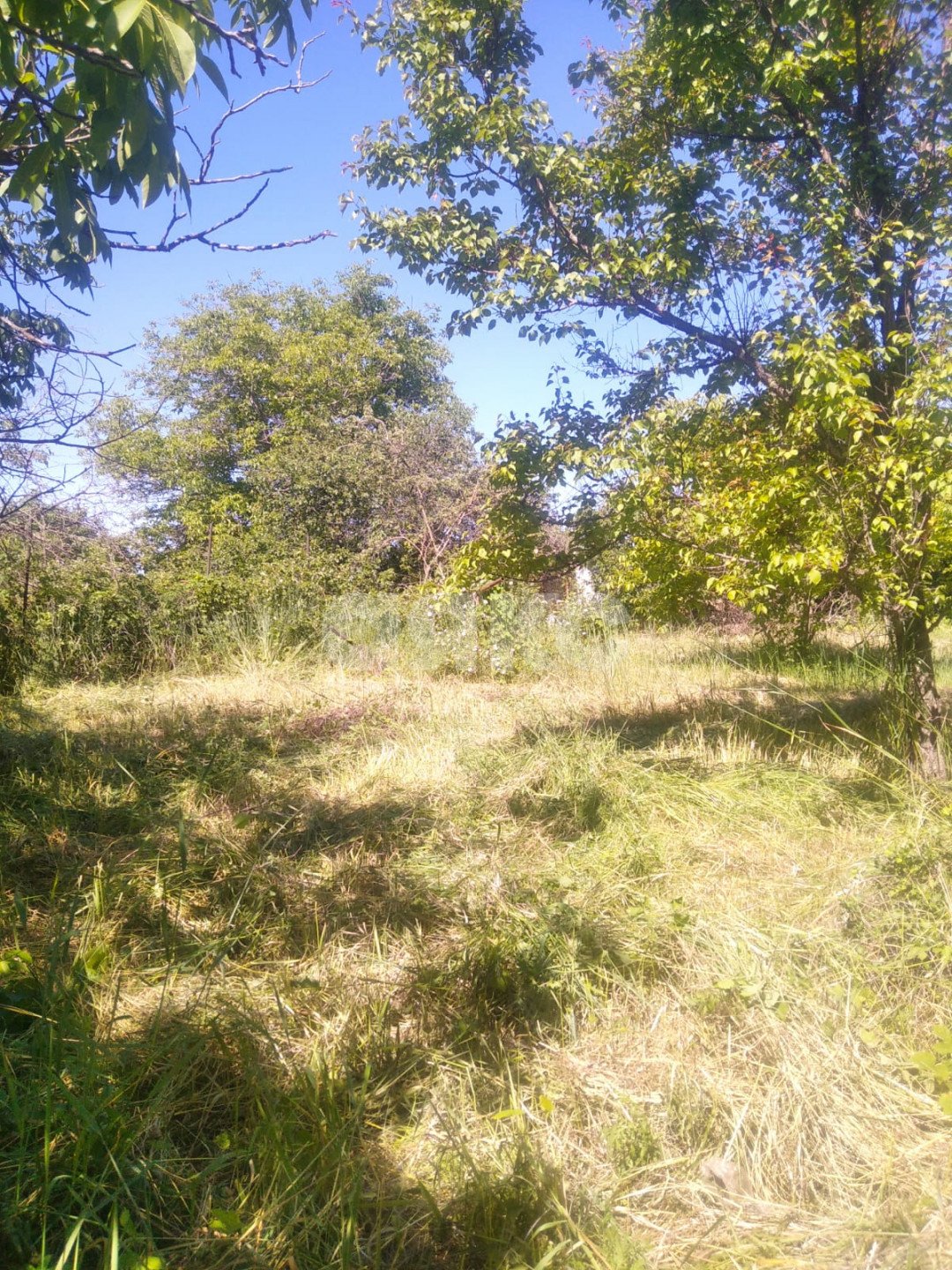 Фото №11: Дача 40 м² + 6 сот. - СНТ Строитель, массив 1, ул. 1-я Продольная