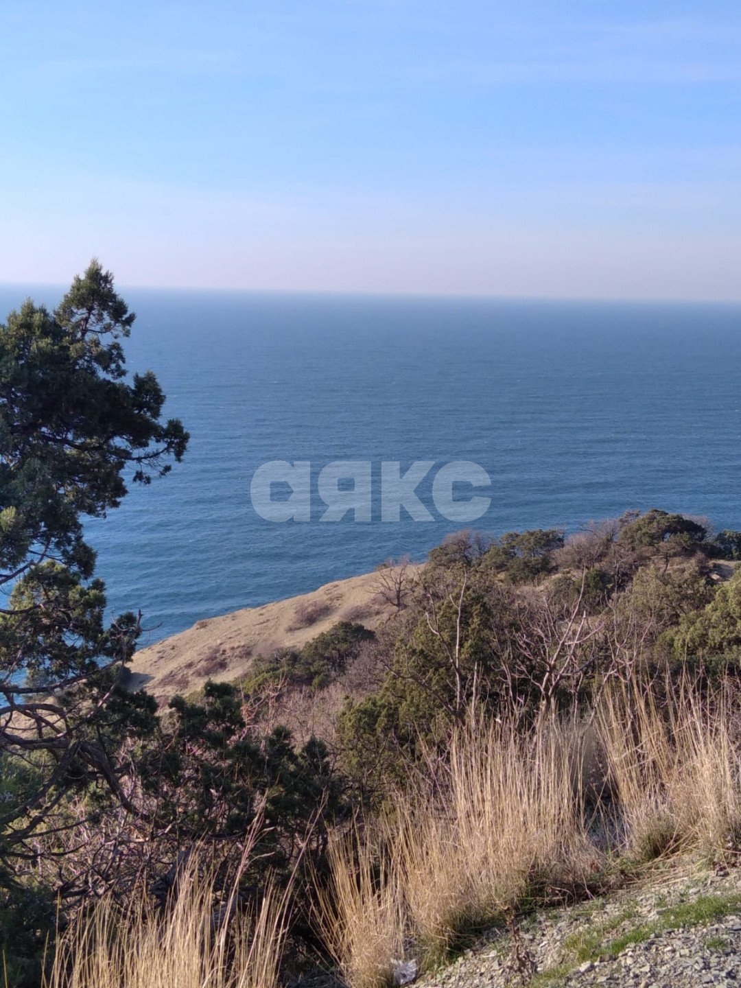 Фото №15: Дача 40 м² + 6 сот. - СНТ Строитель, массив 1, ул. 1-я Продольная