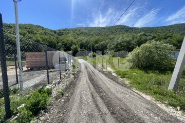 Фото №3: Личное подсобное хозяйство - Краснодарский край городской округ Геленджик