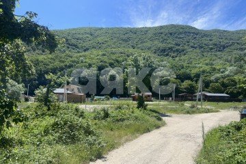 Фото №5: Личное подсобное хозяйство - Краснодарский край городской округ Геленджик