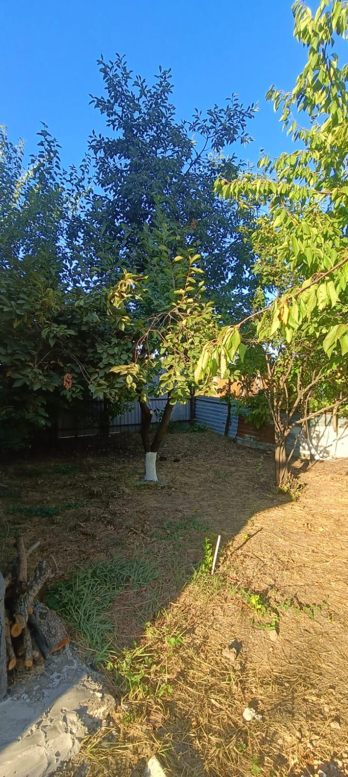 Фото №13: Дом 65 м² + 4.21 сот. - Кубанская Нива, мкр. Прикубанский внутригородской округ, ул. Зелёная, 904