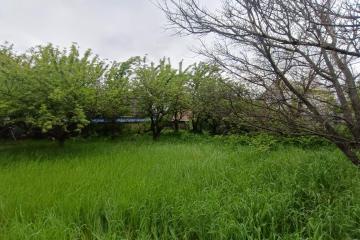 Фото №1: Земельный участок 4 сот. - Янтарь, мкр. Прикубанский внутригородской округ, ул. Ягодная, 433