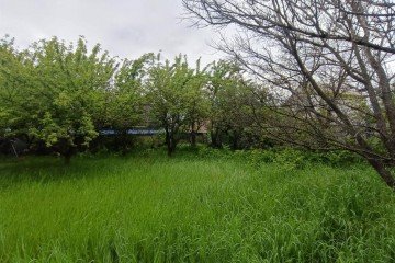 Фото №1: Участок садоводство 4 сот. - Янтарь, мкр. Прикубанский внутригородской округ, ул. Ягодная, 433