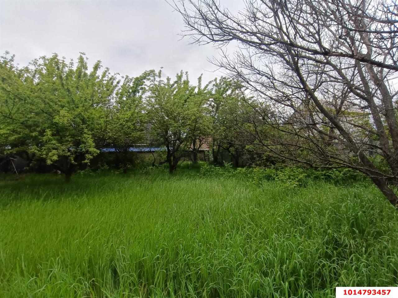 Фото №1: Участок садоводство 4 сот. - Янтарь, Прикубанский внутригородской округ, ул. Ягодная, 433