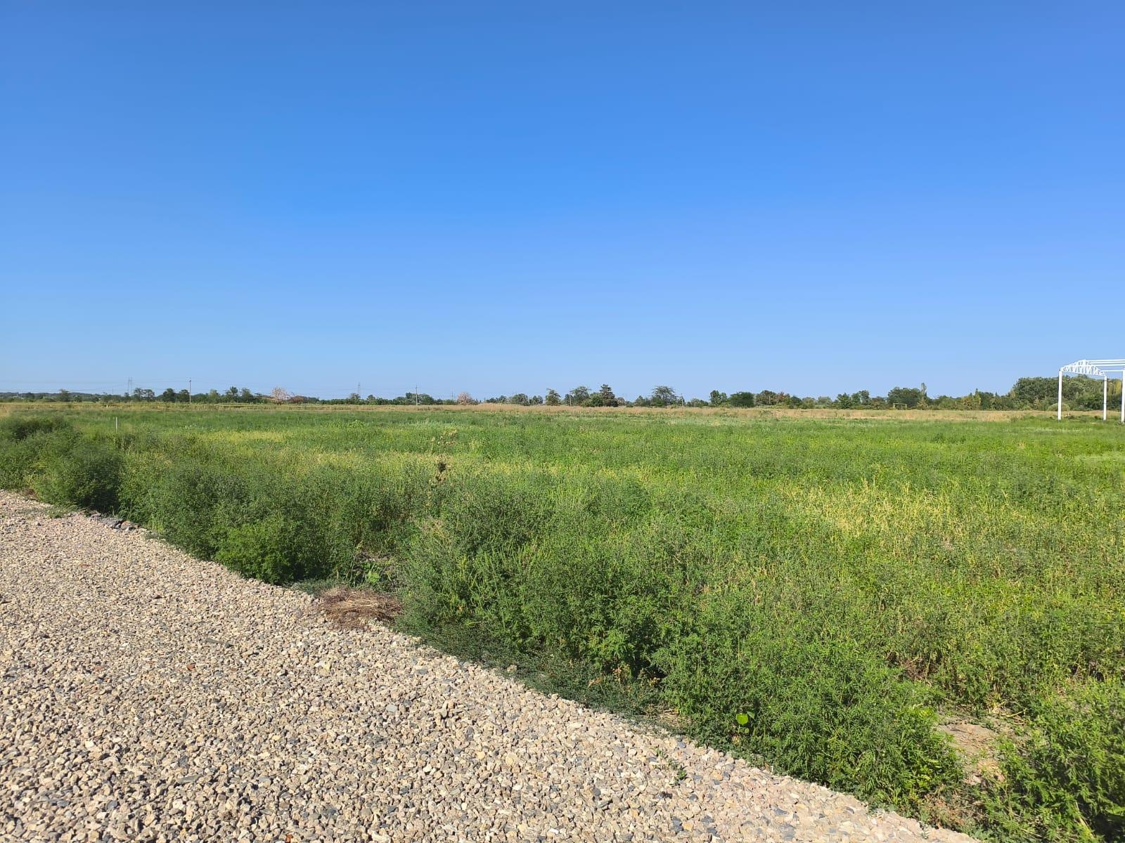 Фото №18: Коммерция 34 м² - Отрадный, ул. Победы, 1